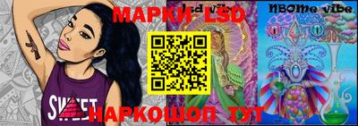 ECSTASY Камышлов