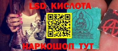 дживик Кимры